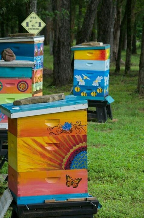 peinture pour ruches